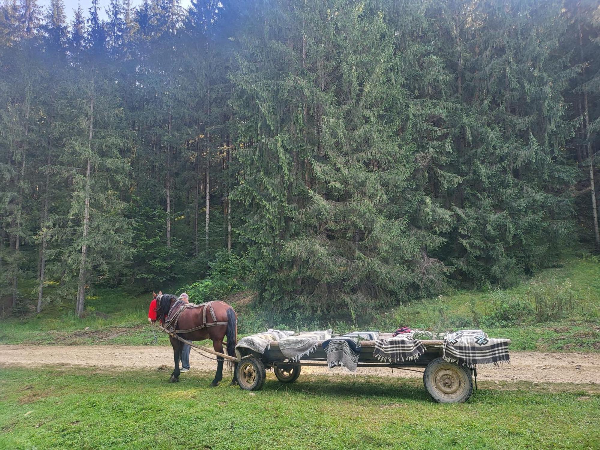 Soimii Bucovinei Residence Vatra Moldoviţei Exteriör bild